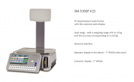 The basic models of PC based scales